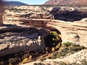 Natural Bridges National Park