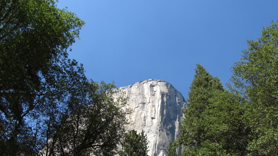 Yosemite National Park