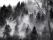 Arapaho National Forest