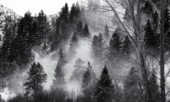 Arapaho National Forest