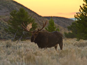 Grand Teton National Park