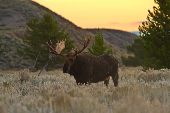 Grand Teton National Park