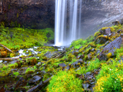 Mount Hood National Forest