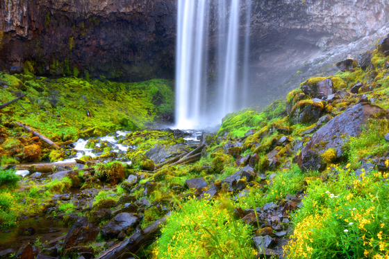 Mount Hood National Forest