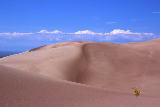 Great Sand Dunes National Park