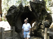 Sequoia National Forest
