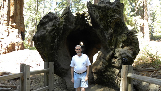 Sequoia National Forest