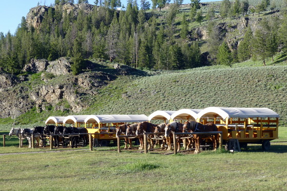 Yellowstone National Park