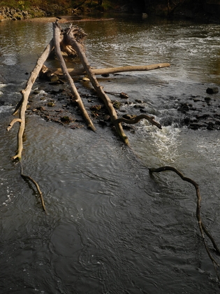 Cuyahoga Valley National Park