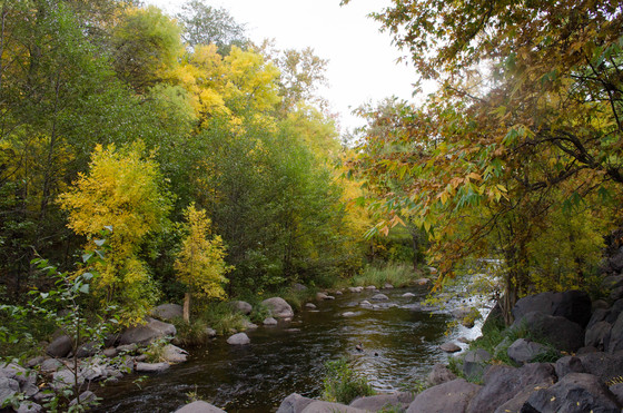 Oak Creek Canyon