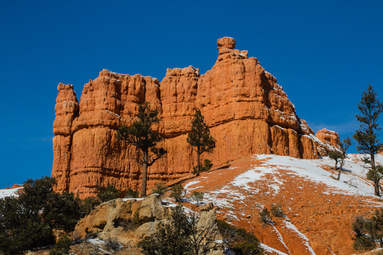 Dixie National Forest, Utah
