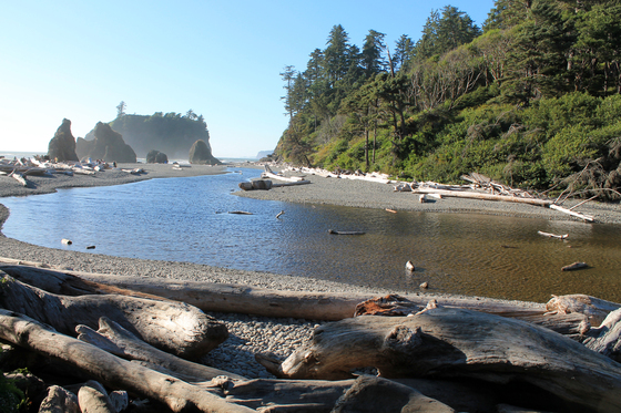 Olympic National Park