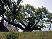 Saratoga National Historical Park