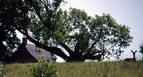 Saratoga National Historical Park