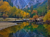 Yosemite National Park
