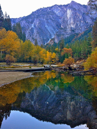 Yosemite National Park