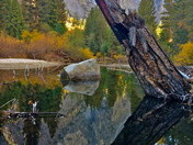 Kings Canyon National Park
