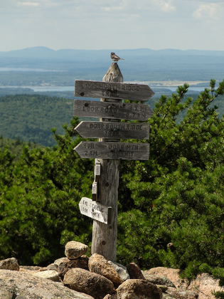 Acadia National Park
