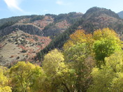 Wasatch-Cache National Forest