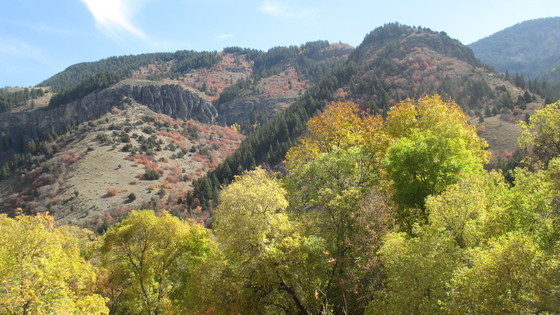 Wasatch-Cache National Forest