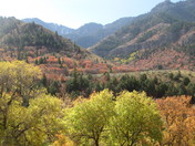 Wasatch-Cache National Forest