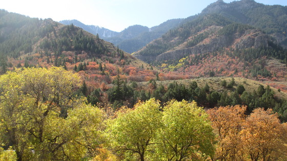 Wasatch-Cache National Forest