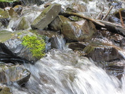 Columbia River Gorge National Scenic Area