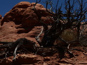 Arches National Park