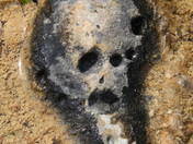 Skull Rock