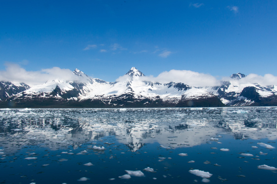 Kenai Fjords National Park