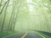 Shenandoah National Park