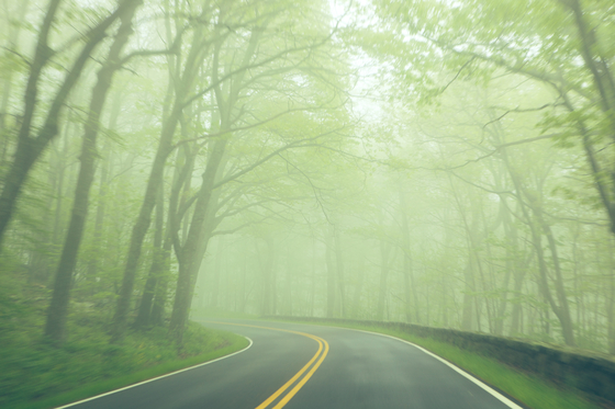 Shenandoah National Park
