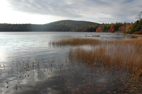 Acadia National Park