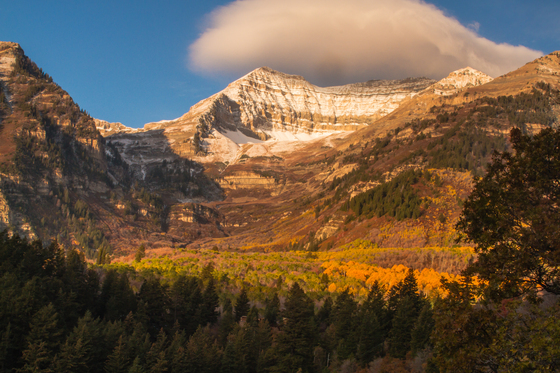 Uinta National Forest, Utah