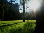Yosemite National Park