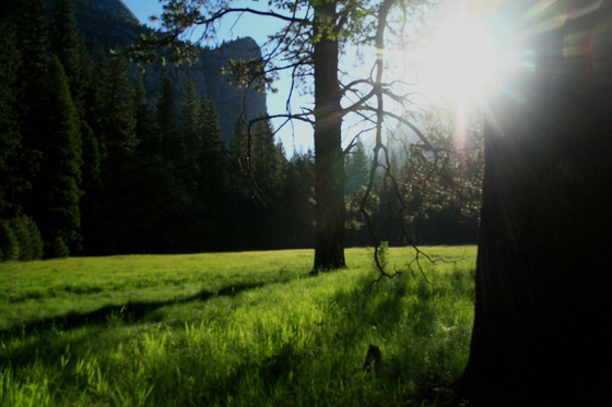 Yosemite National Park