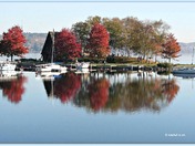 A Fall Reflection....