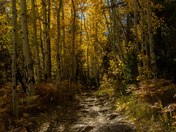 Rocky Mountain National Park