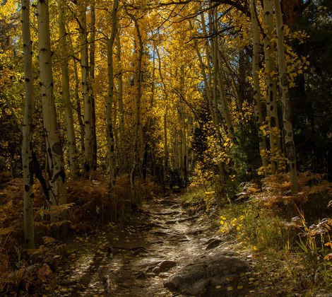 Rocky Mountain National Park