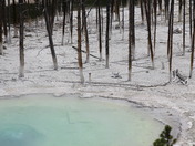 Yellowstone National Park