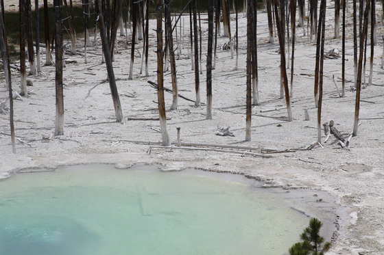 Yellowstone National Park