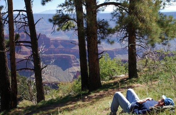 North Rim Grand Canyon