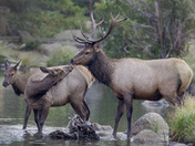 Rocky Mountain National Park