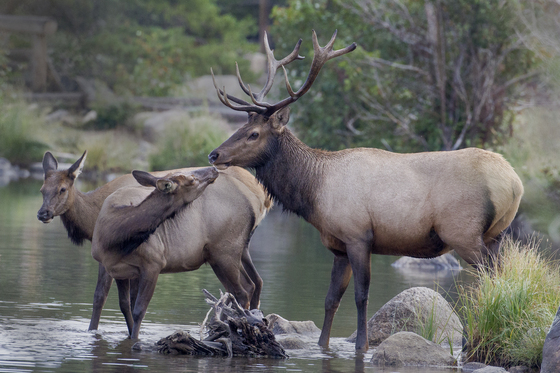 Rocky Mountain National Park