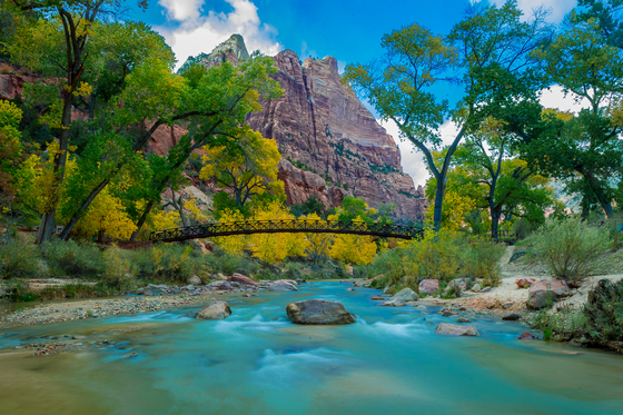 Zion National Park