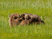 Lake Clark National Park