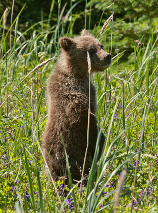 Lake Clark National Park
