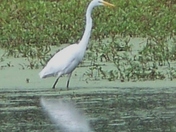 John Heinza National Wildlife Refuge