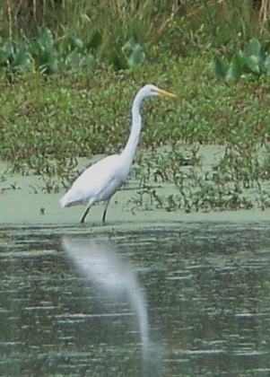 John Heinza National Wildlife Refuge
