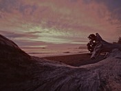Olympic National Park